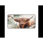 Polyester Desk Pad-378634110