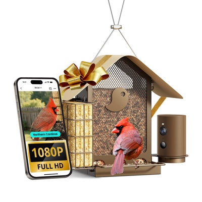 Birdfy Smart
