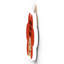 Gruia Wall Decor
