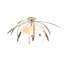 Dahlia 2 - Light Semi Flush Mount-57281956