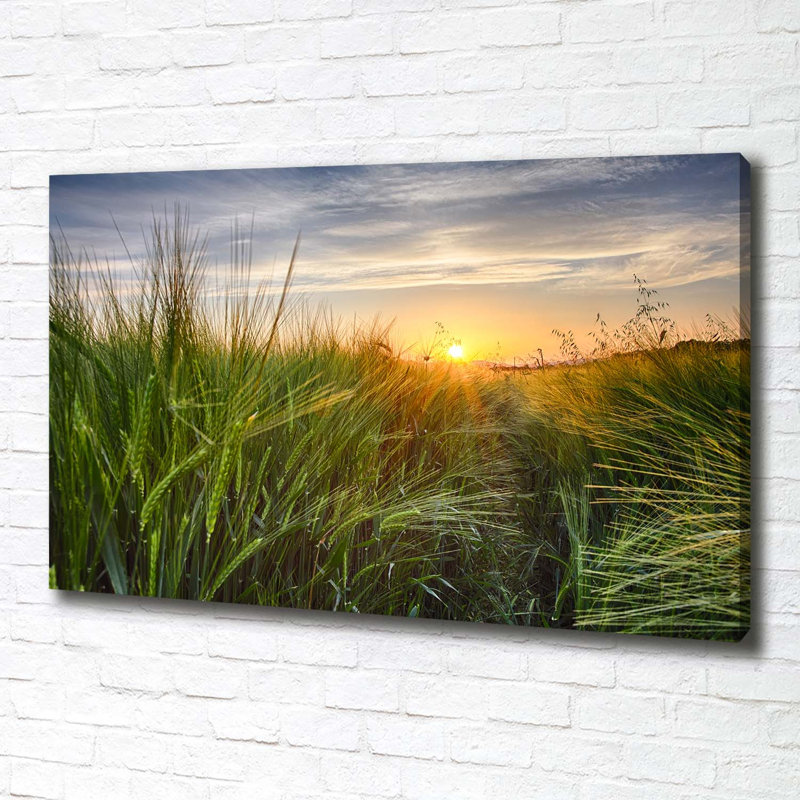 Wheat Field - Wrapped Canvas Print