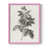 Rose est en rupture de stock
