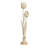 3 Piece Palomo Standing Flowers Sculpture Set