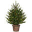 3' H Lighted Artificial Fir Christmas Tree
