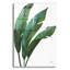 «Emerald Banana Leaves 1» par Janelle Penner, art mural en verre acrylique-1897492782