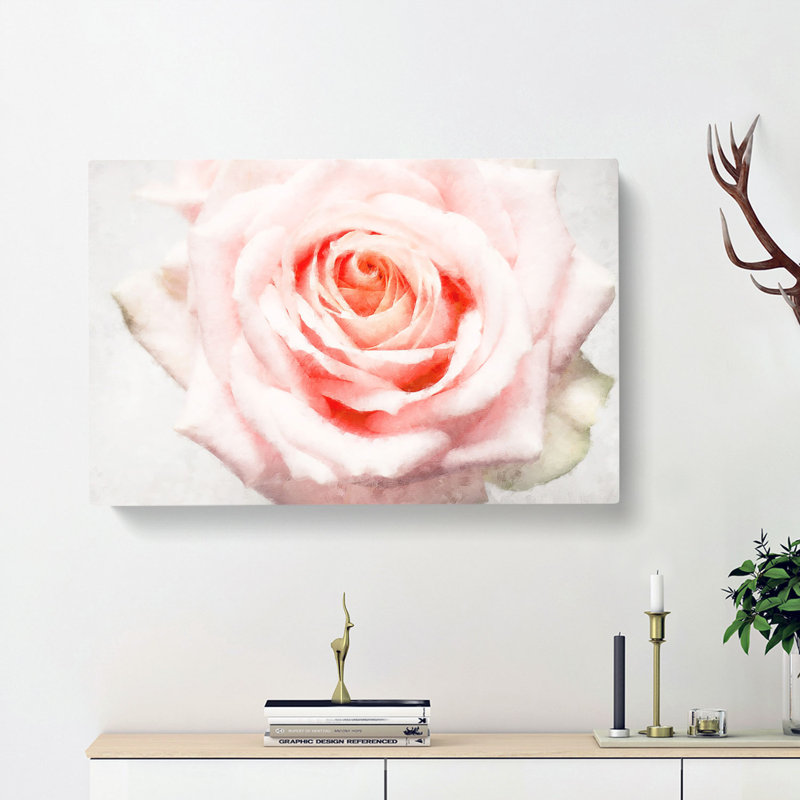 Pale Pink Rose - Wrapped Canvas Print, 50cm H x 76cm W x 3cm D