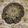 Luxe Weavers Anoush Collection Oriental Floral Area Rug