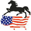 Niturra Logo