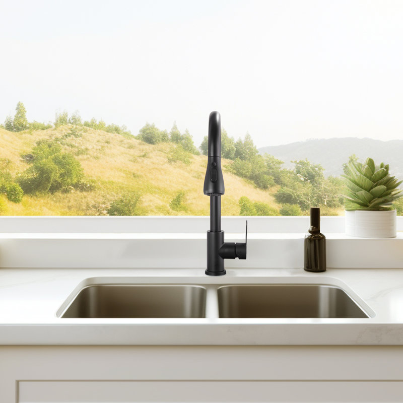 Cobbe Pull Down Kitchen Faucet, Matte Black