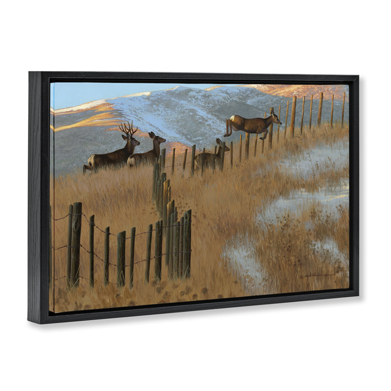 Toile flottante encadrée «Deer J sauting Country Fence» par Rod Lawrence, Cadre flottant noir de jais, H 21 po x l 31 po