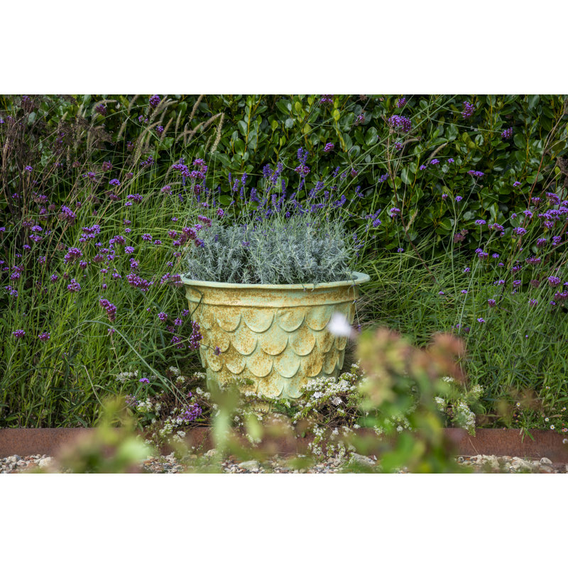 Hernandes Fiberglass Planter, 60 cm H x 70 cm W x 70 cm D, Bronzage