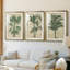 «Burlap Palm Silhouette I», impression encadrée sur mesure de qualité supérieure - 3 pièces-1369567217-1369567229