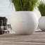 Pot Planter-275699180-348833669