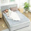 Heated Throw Blanket