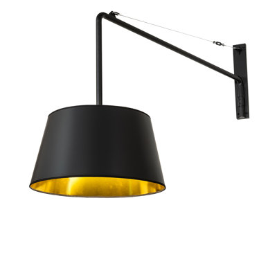 1 - Light Swing Arm