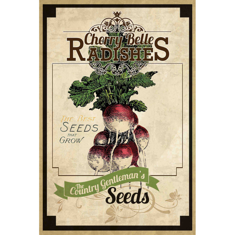 Seed Packet Radishes - Wrapped Canvas Print, 152 cm H x 102 cm W