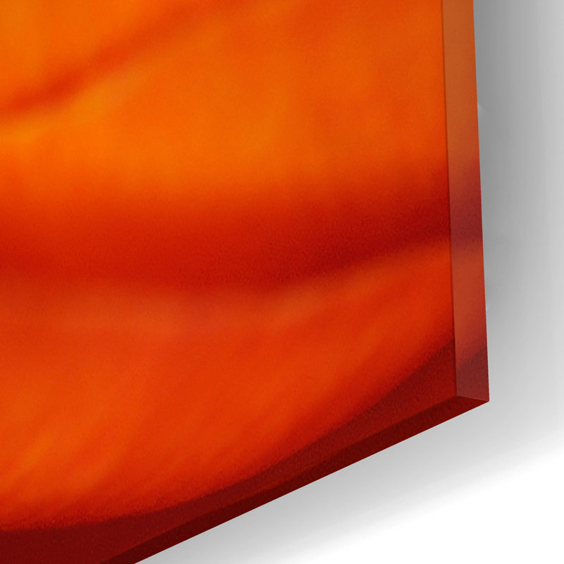 «Orange Flower Close Up» par Tom Quartermaine, H 12 po x l 12 po x P 0,13 po