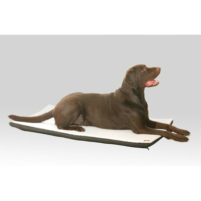Tapis lavable et cage Phan