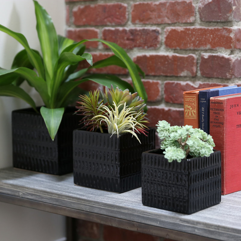 Reale Ceramic Pot Planter, Black