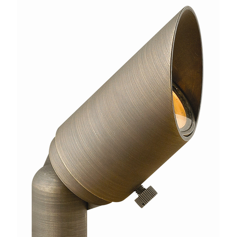 Matte Bronze Brass Outdoor Spot Light with Clear Glass Lens