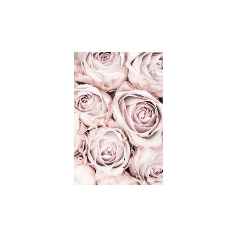 Wrapped Canvas Print, 50.8cm H x 76.2cm W