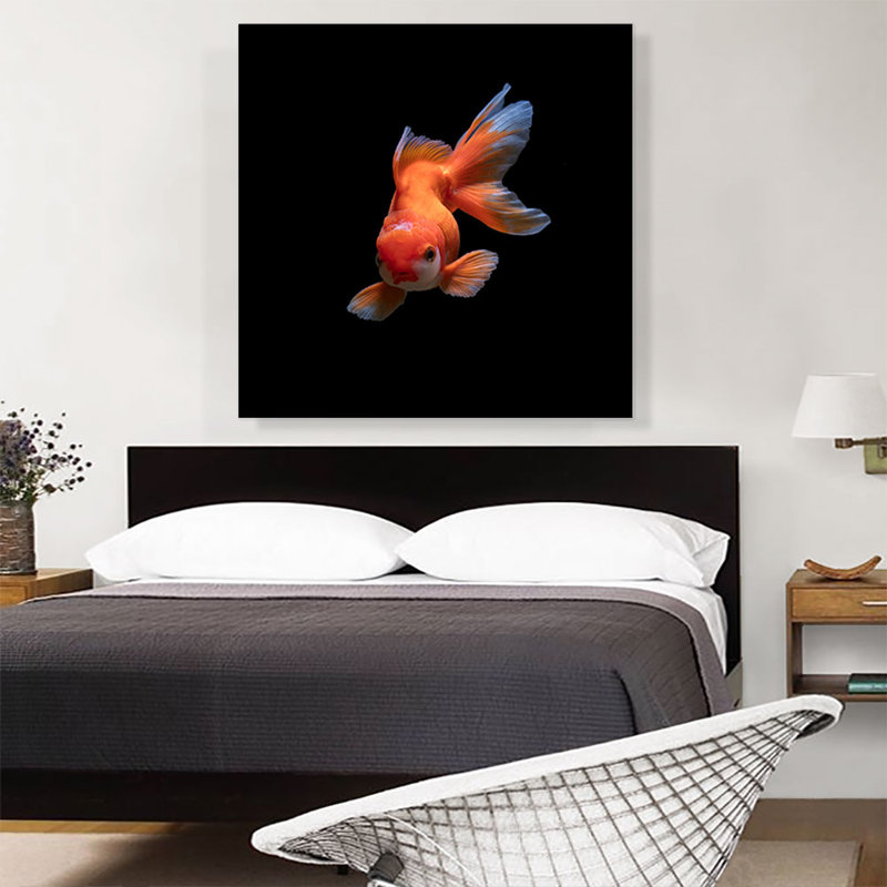 Gold Fish Home Decor - reproduction de photo sur toile tendue, H 36 po x l 36 po x 1,5 po