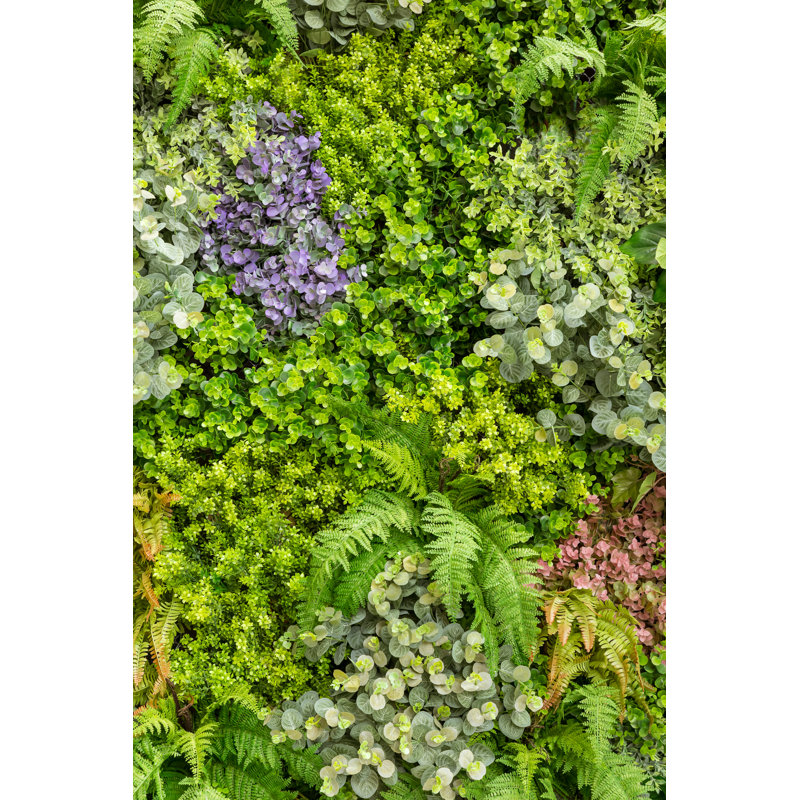 Garden Flower - Wrapped Canvas Print, 46cm H x 30cm W