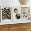 3 Piece Wrapped Canvas Wall Art