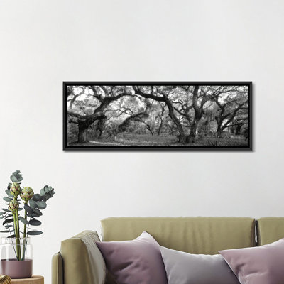 " Oak Trees In A Forest, Lake Kissimmee State Park, Florida, USA " by Panoramic Images