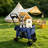Pet Stroller, Foldable 4-Wheel Design-130714784