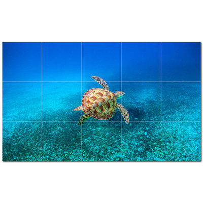 Tortue photo 12 x 12