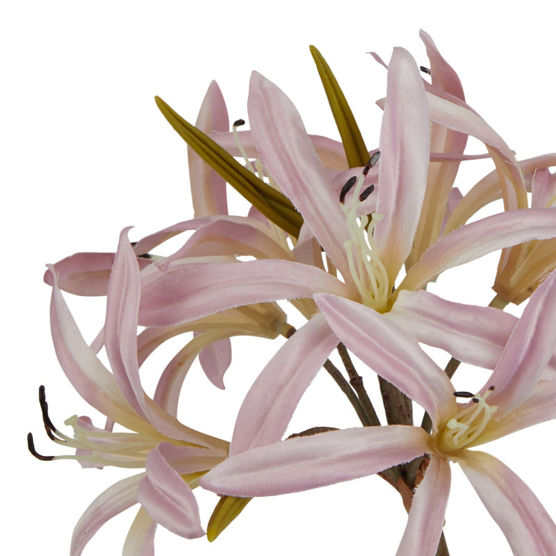The Natural Garden Collection Nerine Lily Stem, Pink