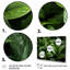 Champ de plantes vertes sur toile-1402086875-1402086864