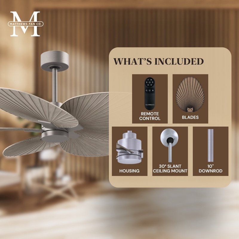 Alessandra Tropical - Five Blade Ceiling Fan - Matte White Finish - Matte White Blades, Brushed Nickel, Gray Ash Tone