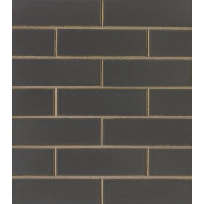 Zenia 2" x 6" Porcelain Subway Tile