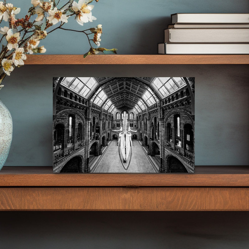 Grand Museum Whale Skeleton Classic Dramatic Gothic Whale Architecture Wall Art Print by Steven Zhou - Wrapped Canvas Print