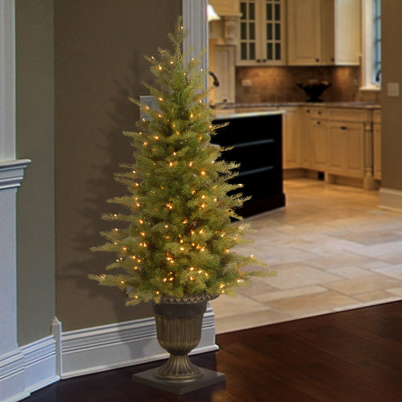 The Holiday Aisle® 4 ft. Nordic Spruce Entrance Tree with Clear Lights
