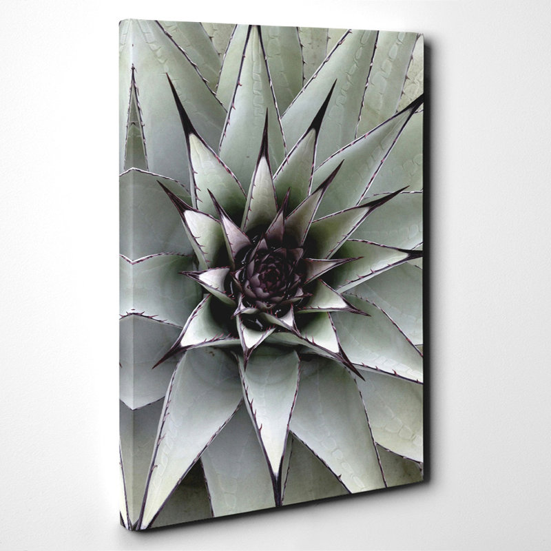 Wrapped Canvas Print, 50cm H x 35cm W