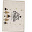 Tapis rectangulaire Keanah