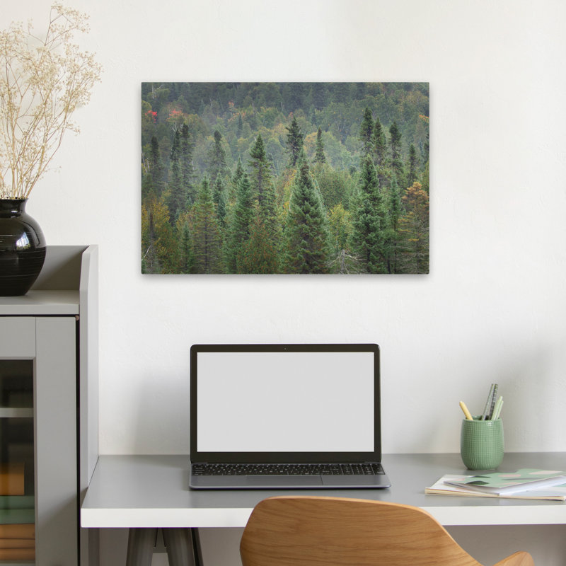 Rustic And Modern Rustic Superior National Forest I, 24" H x 16" W