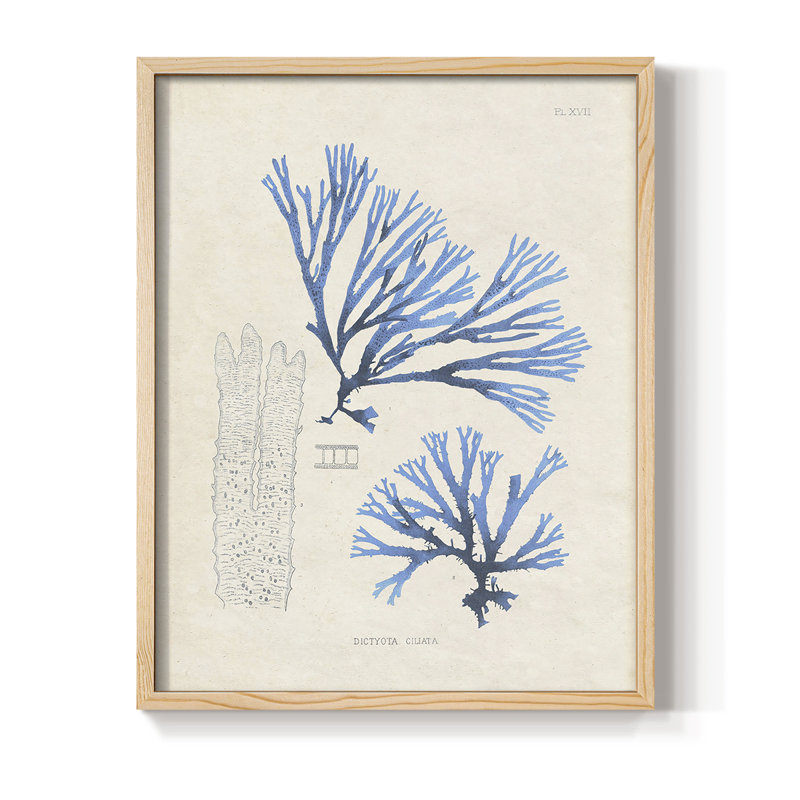 " Blue Marine Algae V ", 21" H x 17" W