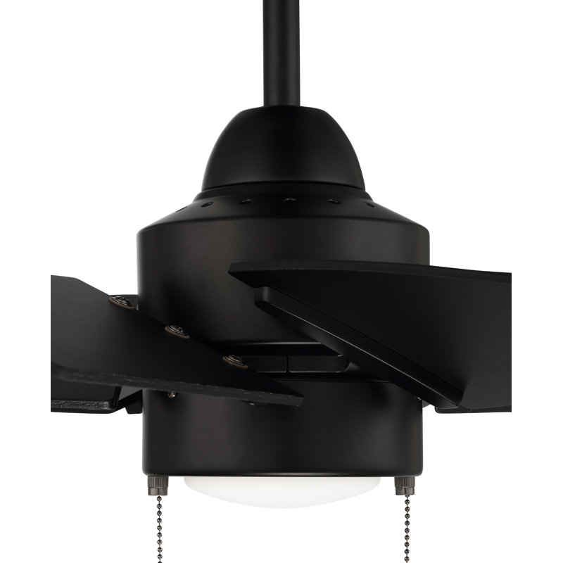 Flat Black 24'' Ceiling Fan with LED Light and 6 Plywood Blades