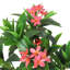 Plumeria artificiel en pot 57 po