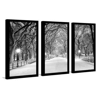 Winter Park - 3 Piece Picture Frame Photograph Print Set on Acrylic -  Picture Perfect International, 704-2167-1224