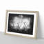 Bird In A Winter Tree Paint Splash - Framed Print-56891000-56891005