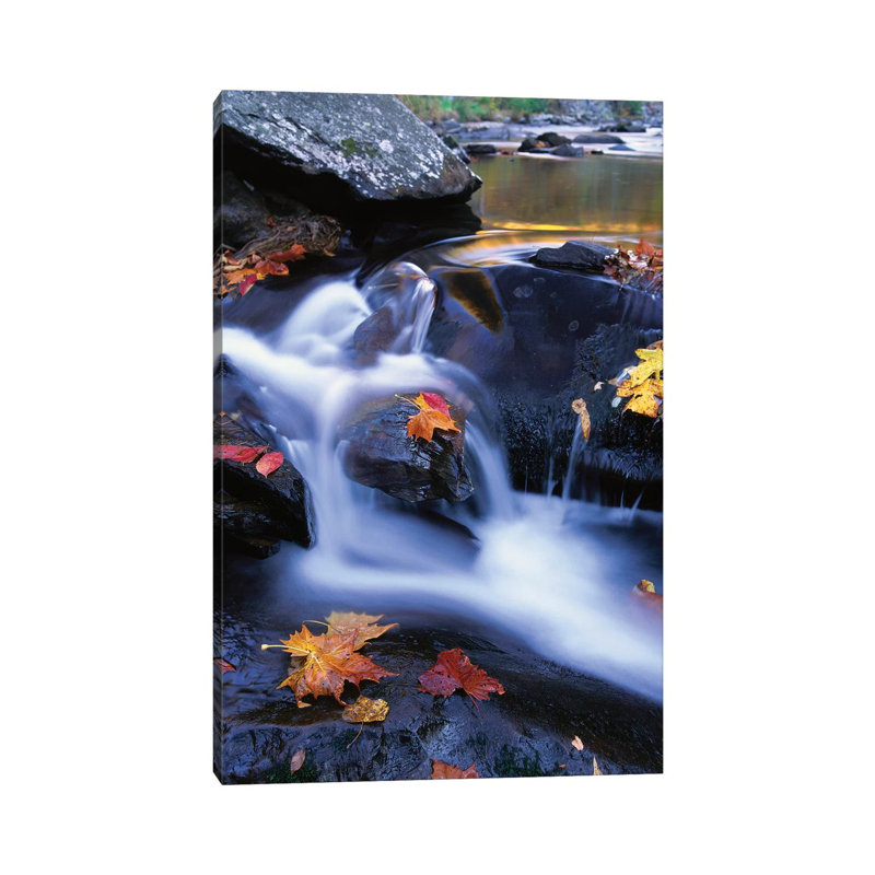 Autumn Leaves In Little River, Great Smoky Mountains National Park, Tennessee - Vertical by Tim Fitzharris - Wrapped Canvas Print
