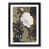 Black  Bordered Framed is unavailable
