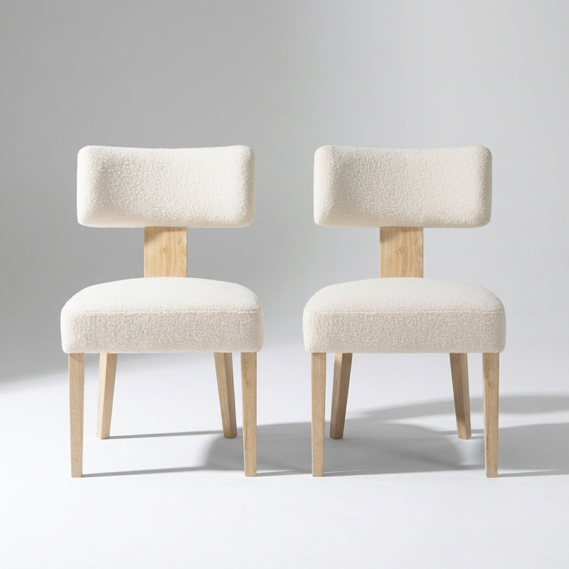 Modern Upholstered Dining Chairs Set of 2 with Comfortable Fabric Seating