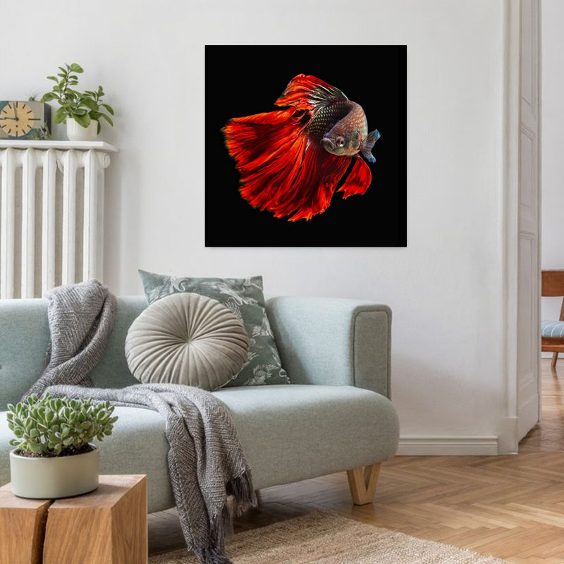Striking Red Betta Fish Elegant Vibrant Contemporary Fish Tropical Wall Art Print by Andi Halil - Print