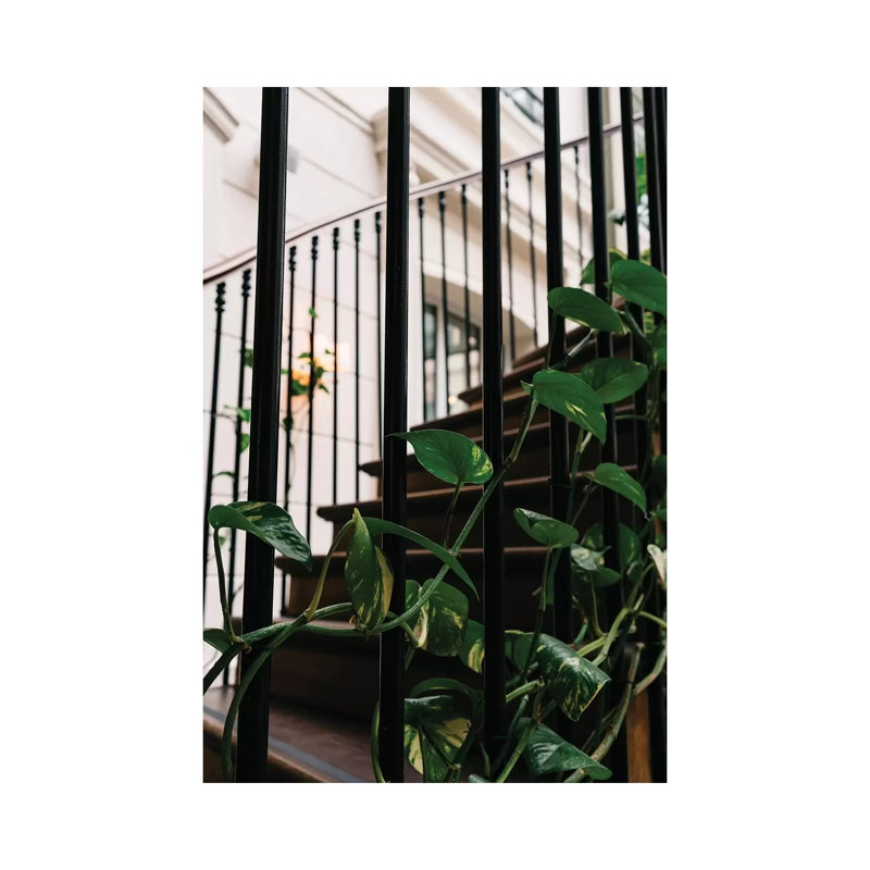 Parisian Stairs by Bethany Young - Print on Canvas, Wrapped Canvas, 66.04cm H x 45.72cm W x 3.81cm D